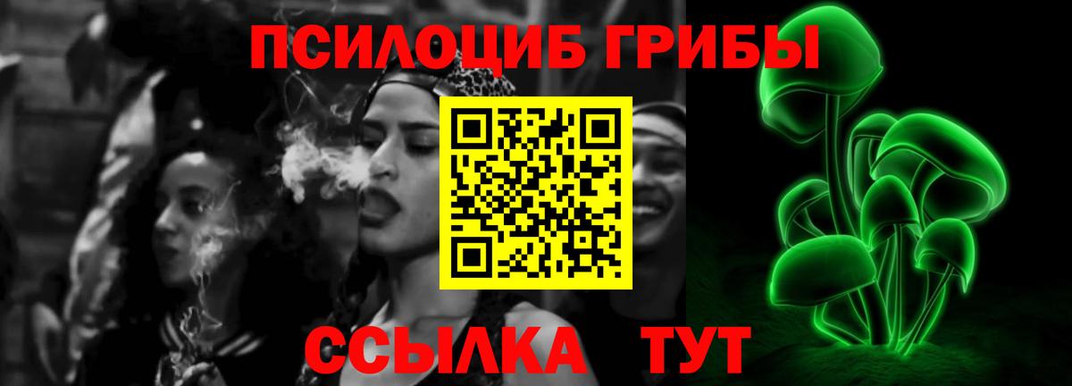 Псилоцибиновые грибы прущие грибы Елец